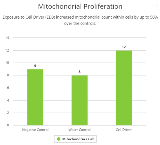 Mitochondrial Proliferation