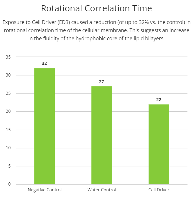Rotational-Correlation-Time